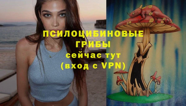 спиды Елабуга